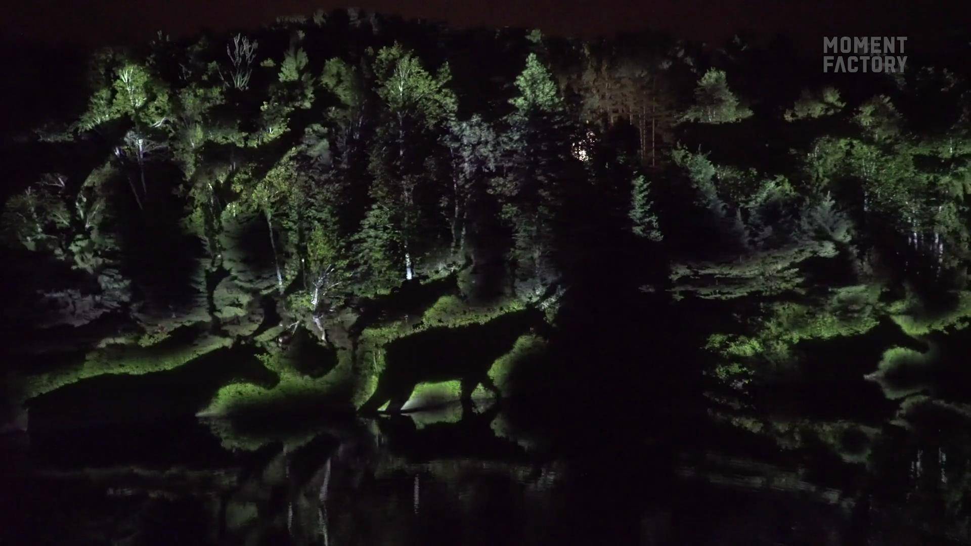 Anima Lumina A Night Walk at the Zoo [DEMO]